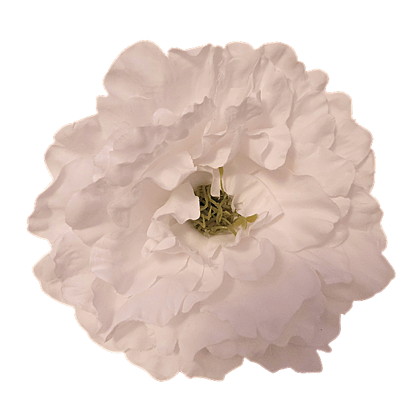 Single Bloom 5" - White - TLC