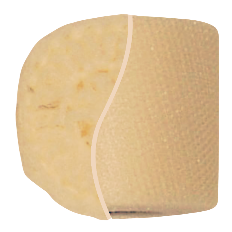 Nylon Mesh - Butter - TLC
